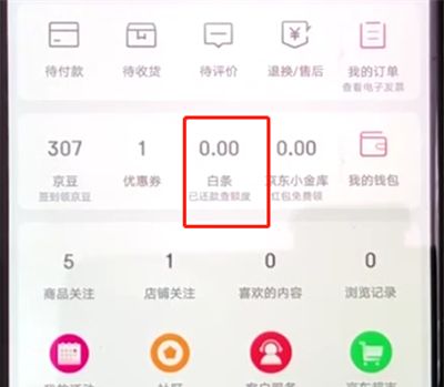 京东白条进行还款的操作教程截图