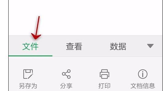 WPS Office APP查看表格信息的简单方法截图