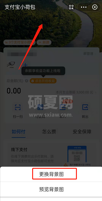 支付宝小荷包怎样切换背景图?支付宝小荷包更改背景图方法截图