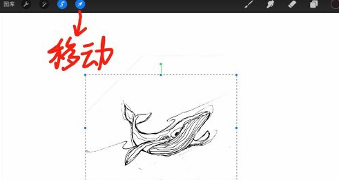 Procreate怎样调整局部大小?Procreate调整局部大小教程技巧截图