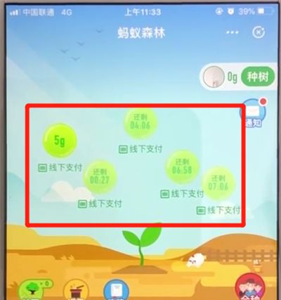 支付宝蚂蚁森林收取能量的操作步骤截图