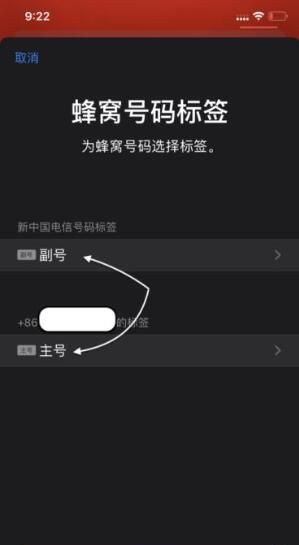 iPhone 11设置双卡双待功能的详细讲解截图