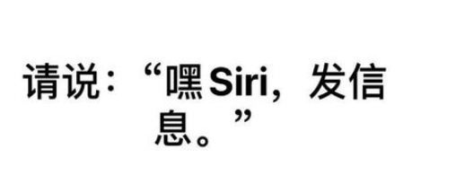 苹果11召唤SIRI的操作过程讲解截图