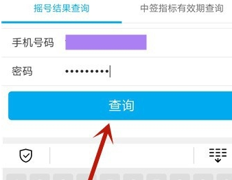 北京通查看汽车摇号结果的操作步骤截图