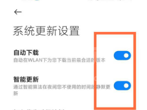 关闭如何红米note10自动更新?红米note10关闭自动更新方法截图