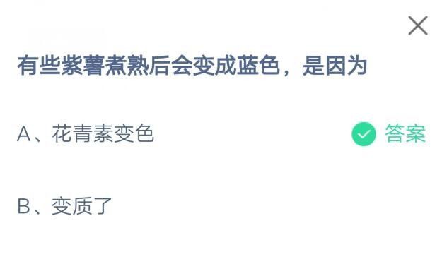 有些紫薯煮熟后会变成蓝色，是因为?支付宝蚂蚁庄园7月9日答案截图