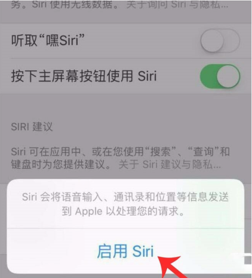 iPhone12siri怎么打开 iPhone12siri打开方法截图