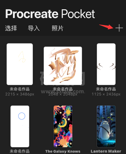 procreate pocket怎么新建画布？procreate pocket新建画布教程截图