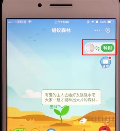 支付宝蚂蚁森林中申请种树的操作教程截图