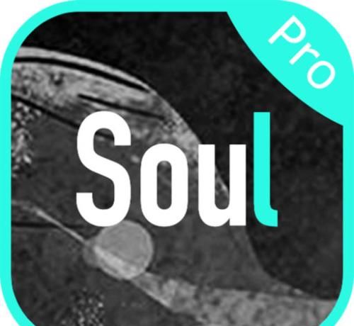 soul收藏语音的操作流程