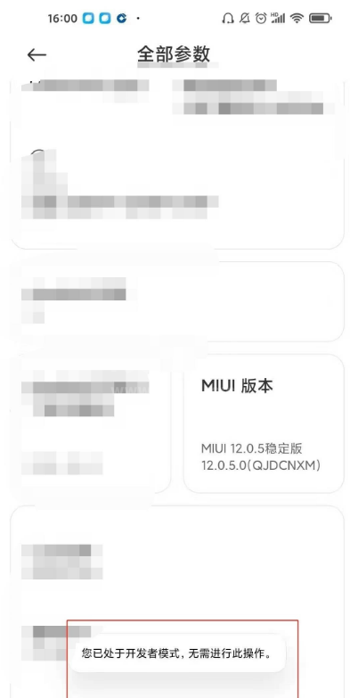 小米10s怎样设置开发者选项 小米10s开发者选项设置方法截图