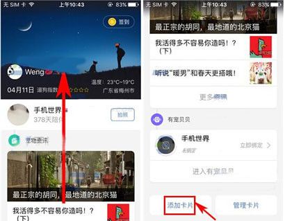 有宠app添加卡片的操作过程截图