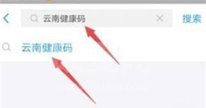 云南健康码怎么申请 支付宝云南健康码怎么申请截图