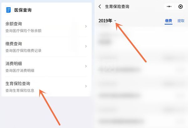微信怎么查询生育险？微信查询生育险详细步骤截图