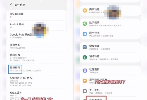三星s21如何进入开发者模式?三星s21进入开发者模式的方法截图