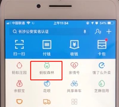 支付宝蚂蚁森林中申请种树的操作教程截图