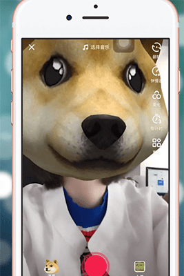 抖音APP甩狗头特效使用操作讲解截图