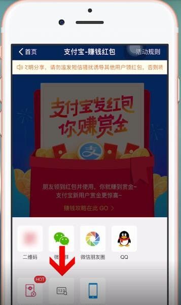 支付宝APP设置搜索码的操作过程截图