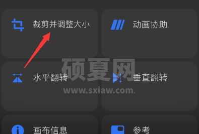 procreate pocket如何调整画布大小？procreate pocket调整画布大小教程截图