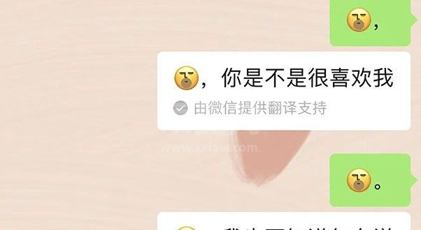 微信表情翻译不出来怎么办？微信emm表白翻译不出来解析截图