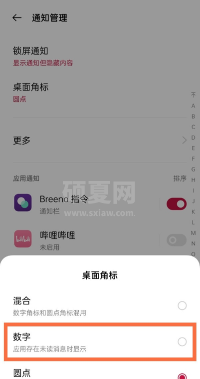 一加9pro如何开启数字角标?一加9pro开启数字角标步骤截图
