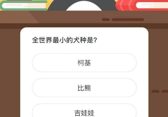 全世界最小的犬种是什么?微博森林驿站4月6日答案分享