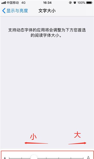 iPhoneXs Max调整字体大小的简单操作截图