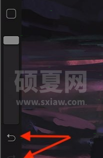 procreate pocket如何撤销重做?procreate pocket撤销重做方法介绍截图