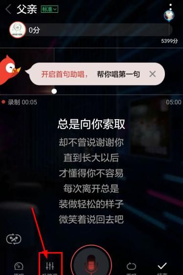 全民k歌中调音的具体操作步骤截图