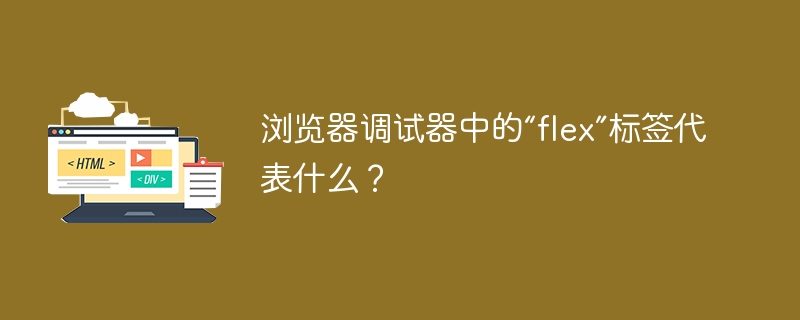 浏览器调试器中的“flex”标签代表什么？