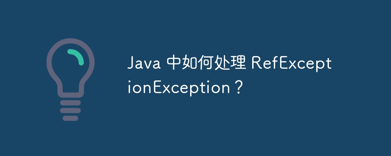 Java 中如何处理 RefExceptionException？