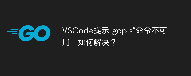 VSCode提示&quot;gopls&quot;命令不可用，如何解决？