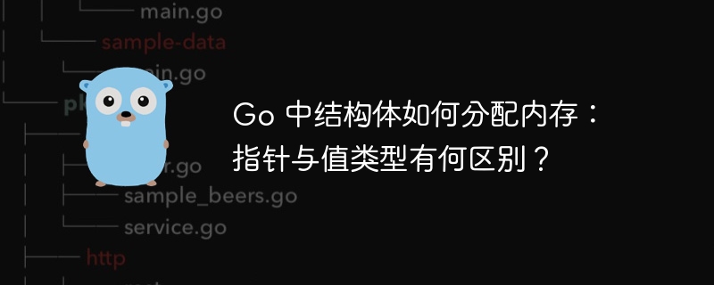 Go 中结构体如何分配内存：指针与值类型有何区别？