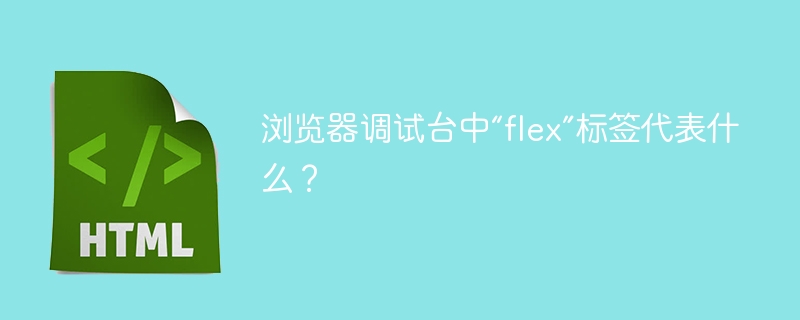 浏览器调试台中“flex”标签代表什么？