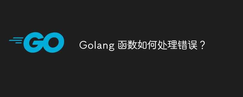 Golang 函数如何处理错误？