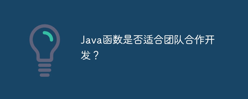 Java函数是否适合团队合作开发？