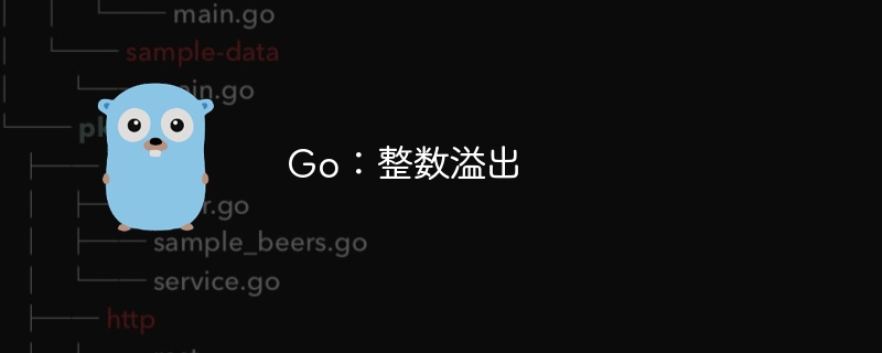 go：整数溢出