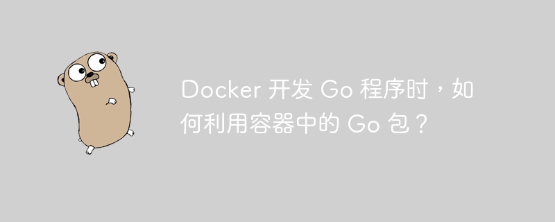 Docker 开发 Go 程序时，如何利用容器中的 Go 包？