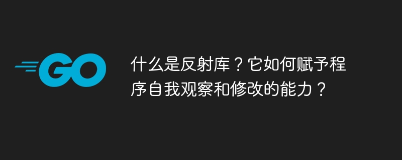 什么是反射库？它如何赋予程序自我观察和修改的能力？