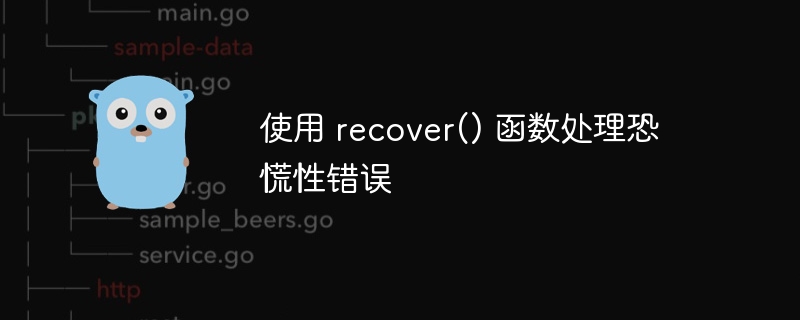 使用 recover() 函数处理恐慌性错误