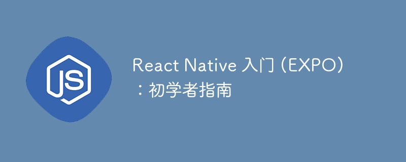 react native 入门 (expo)：初学者指南