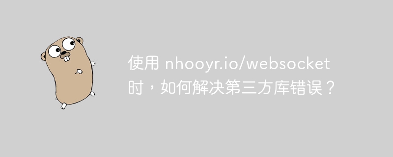 使用 nhooyr.io/websocket 时，如何解决第三方库错误？