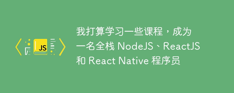 我打算学习一些课程，成为一名全栈 NodeJS、ReactJS 和 React Native 程序员