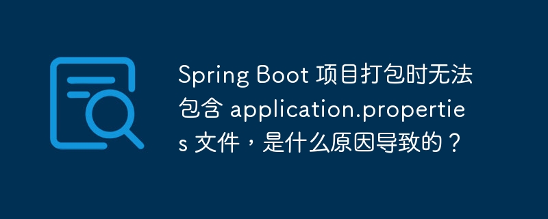 Spring Boot 项目打包时无法包含 application.properties 文件，是什么原因导致的？