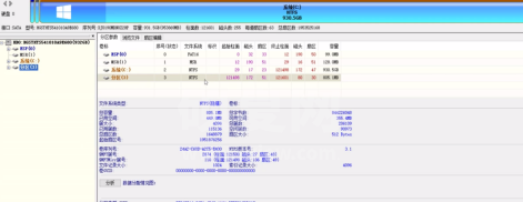 DiskGenius中文版怎样设置卷标？DiskGenius中文版设置卷标的方法