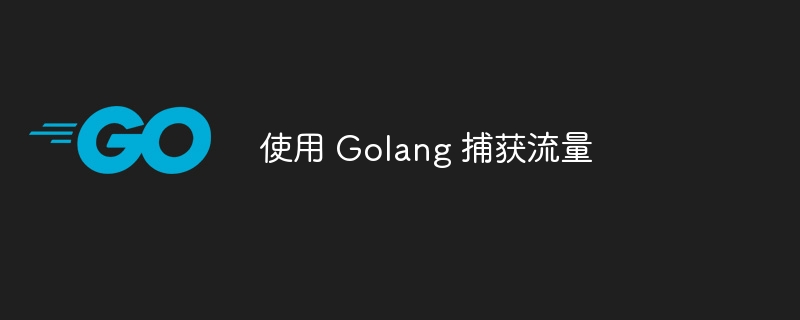 使用 golang 捕获流量