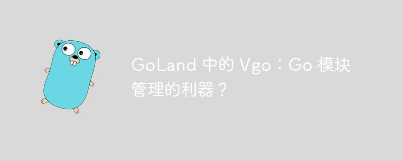 GoLand 中的 Vgo：Go 模块管理的利器？