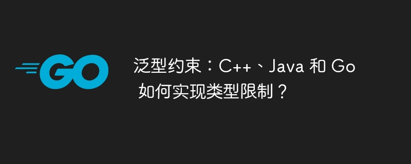 泛型约束：C++、Java 和 Go 如何实现类型限制？