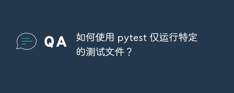 如何使用 pytest 仅运行特定的测试文件？