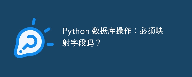 Python 数据库操作：必须映射字段吗？